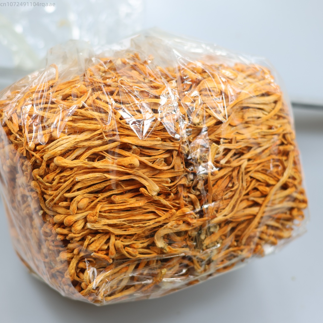 Fleur de Cordyceps séchée natu - Soap Making Diy Kit avis et prix