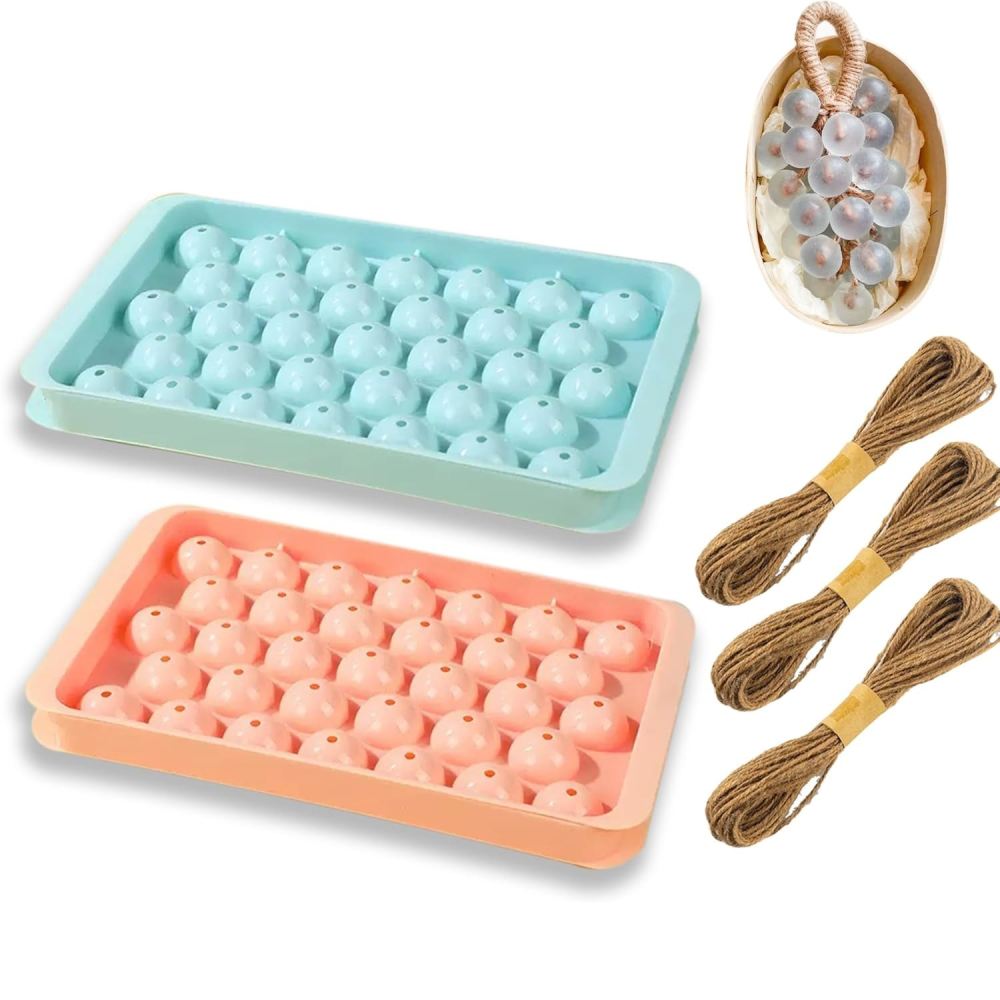 Moule à savon en forme de rais - Soap Making Gifts avis et prix