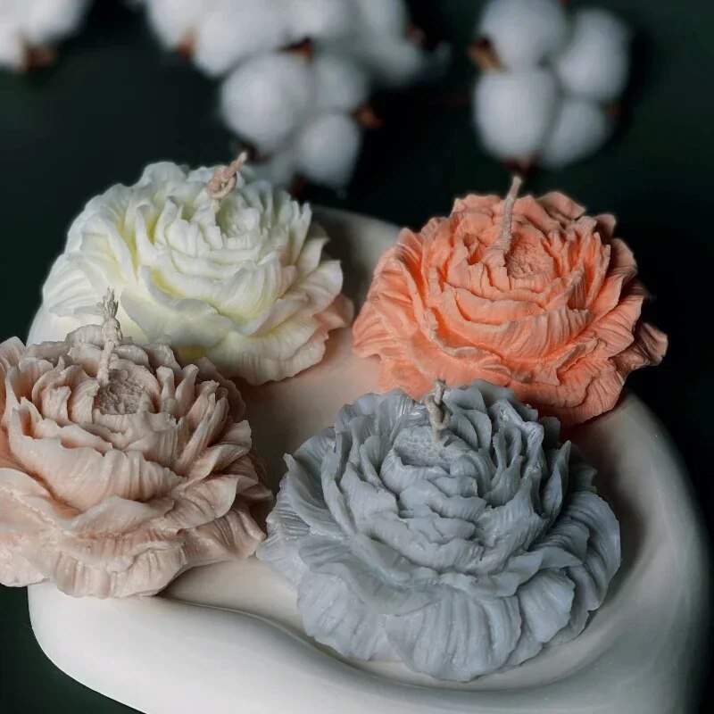 Moule 3D en Silicone pour boug - Soap Making Gifts avis et prix
